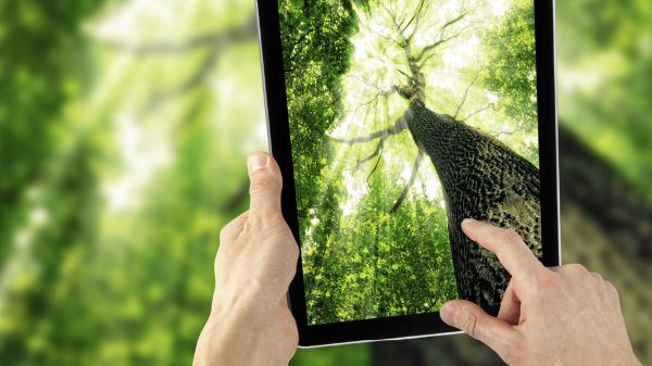 Estrategia de Sostenibilidad 2050